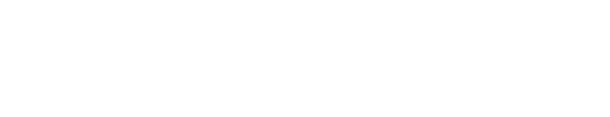 seiko-ikigai